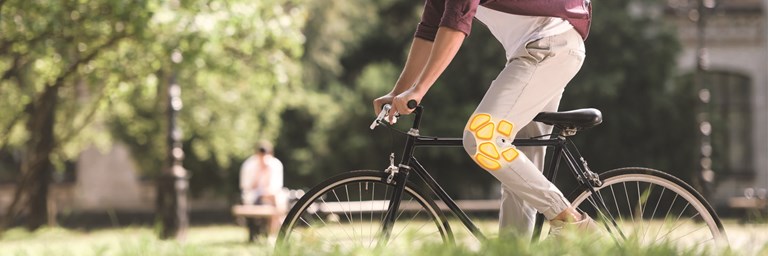 TC Knie Kampagnenimage