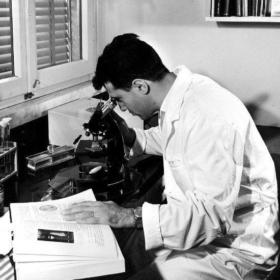 Ein Forscher Untersucht Etwas Unter Dem Mikroskop