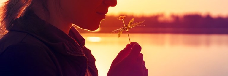 AP22 Site 1030X302 Headway POST