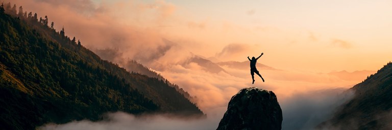 Handelsblatt Auszeichnung